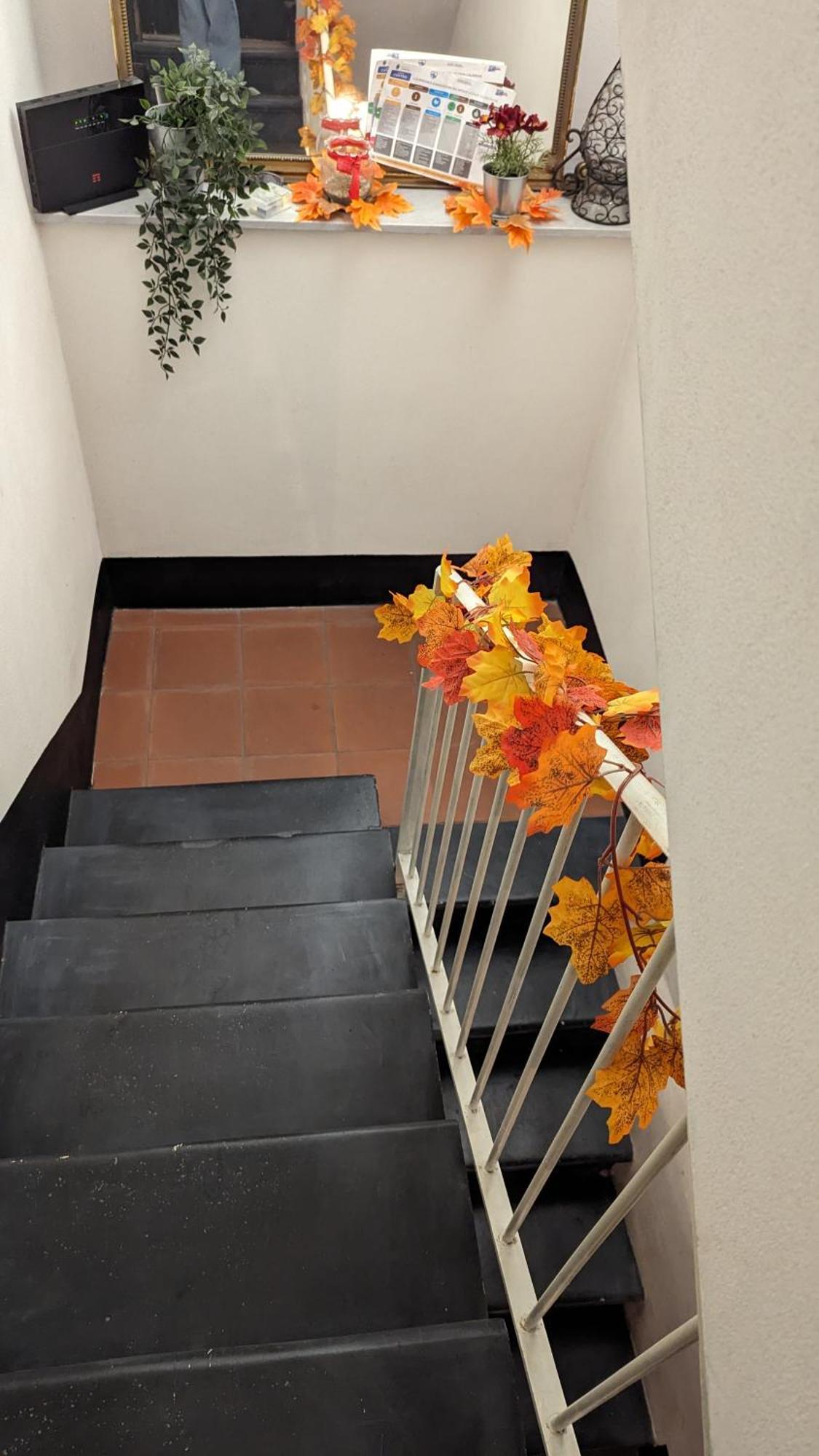 Apartment Frida *